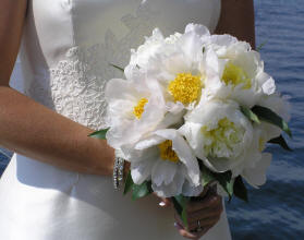 Elegant Peony bridal bouquet